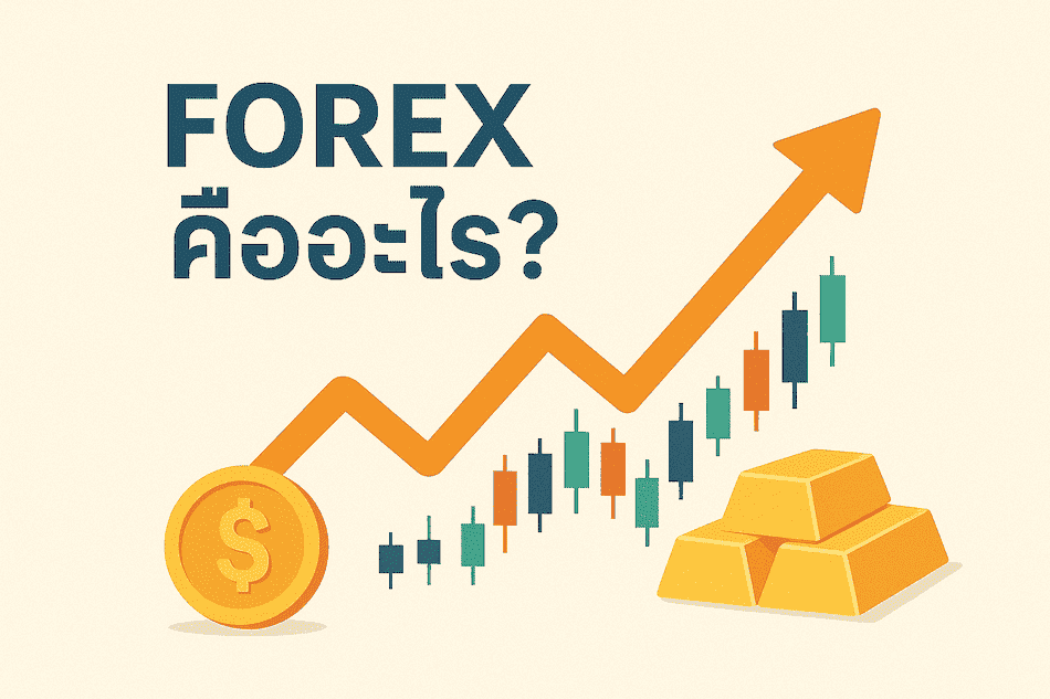 Forex คืออะไร คู่มือเบื้องต้นสำหรับผู้เริ่มต้นลงทุนในตลาดเงิน